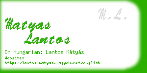 matyas lantos business card
