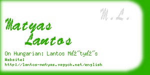 matyas lantos business card